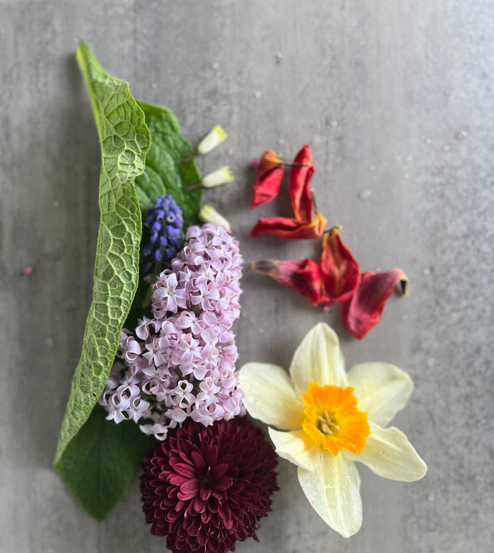 hydrosols, organic, small batch, distilled botanicals, skincare, natural skincare, fruits to the roots, in-house distillation