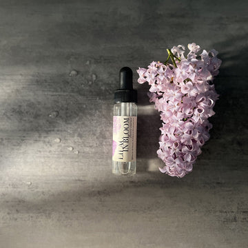 Lilac in Bloom